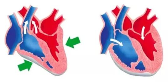 Blutforde normaliza a función do corazón e dos vasos sanguíneos